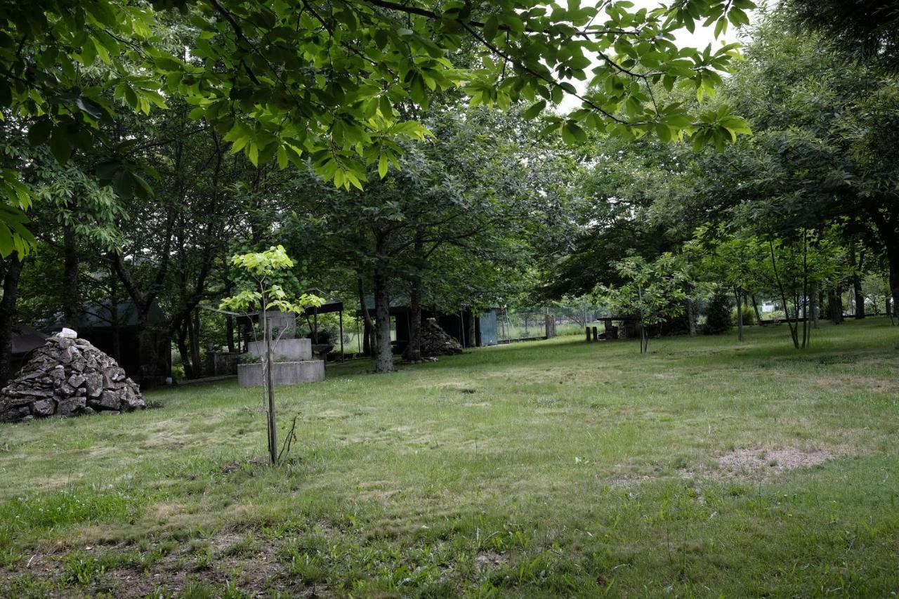 ヴァーレ・デ・カンブラ Casa Do Aido De Cimaヴィラ エクステリア 写真
