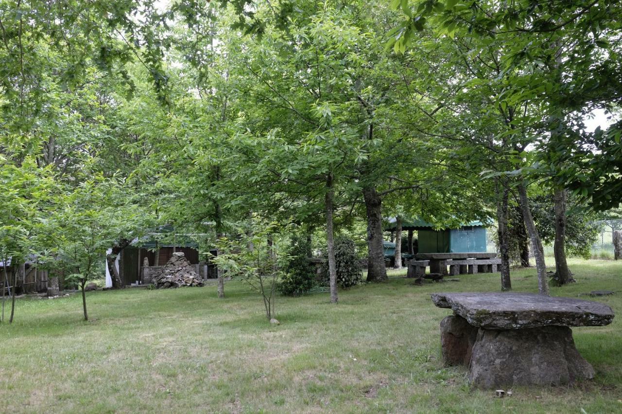 ヴァーレ・デ・カンブラ Casa Do Aido De Cimaヴィラ エクステリア 写真