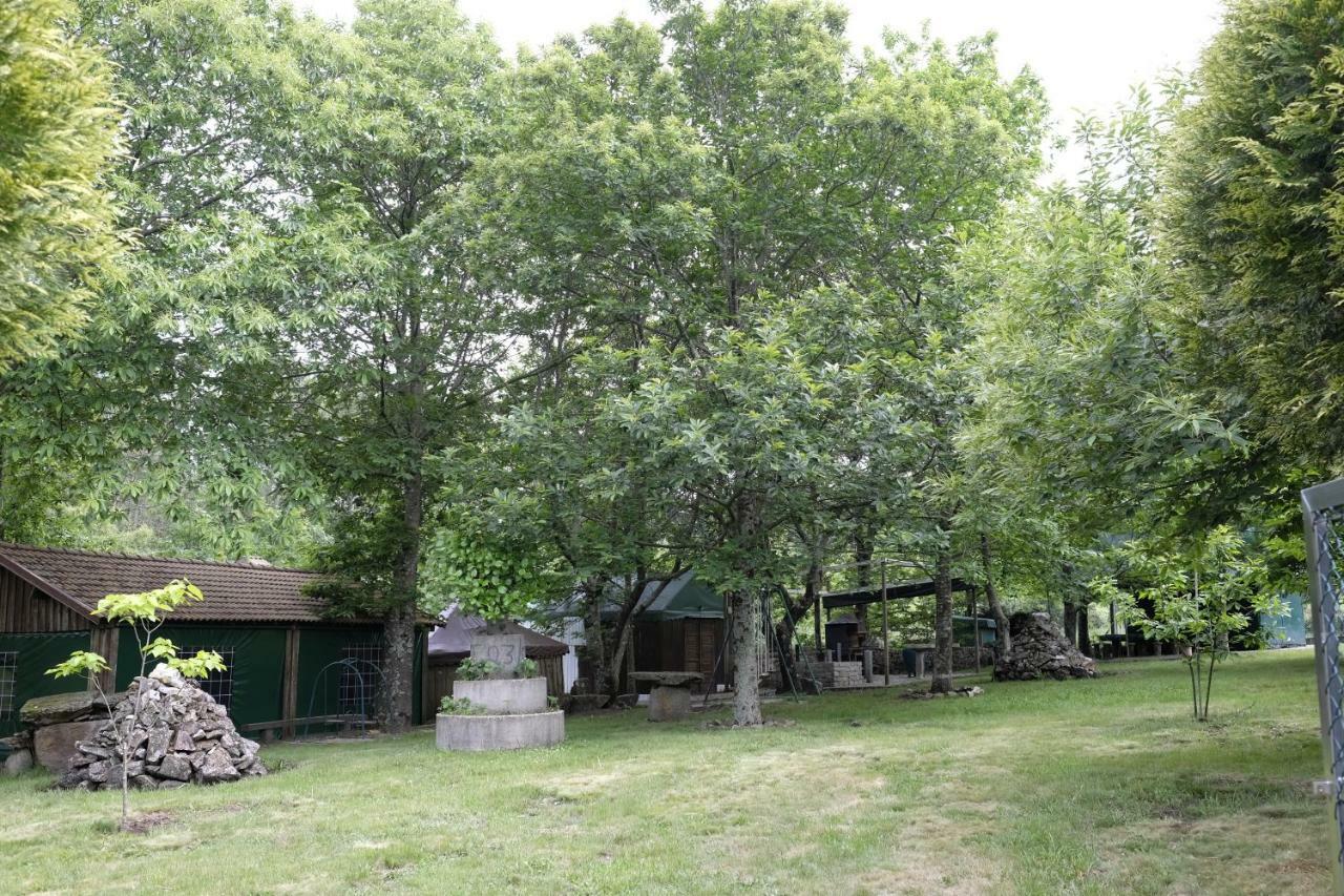 ヴァーレ・デ・カンブラ Casa Do Aido De Cimaヴィラ エクステリア 写真